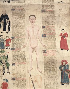 Diagrama anatômico de De arte phisicali e de cirugia de John Ardene, 1412 de English School