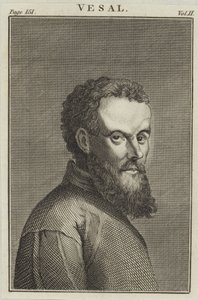 Andreas Vesalius de English School