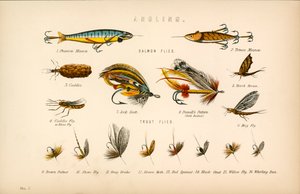 Pesca de English School