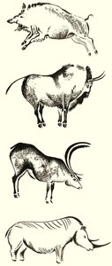 Animais com montagem de chifres de English School