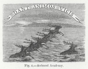 Academia Animosi (gravura) de English School