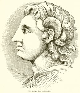Cabeça antiga de Alexandre de English School