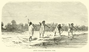 Antis índios atirando peixe de English School