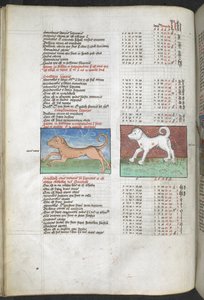 Arundel MS 66 f.44v Canis maior e Canis minor representados como cães 
