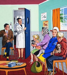 Nos veterinários de English School