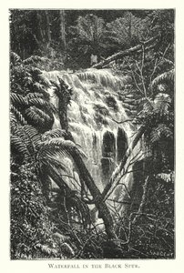 Austrália: Waterfall in the Black Spur (gravura) de English School