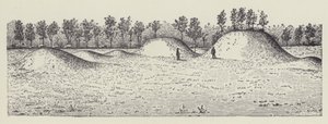 Montes de Avondale, Condado de Washington, Mississipi (litografia) de English School
