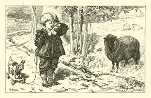 Baa, Baa, Ovelha Negra de English School