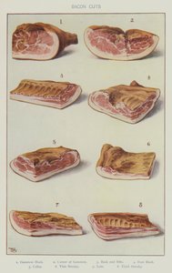 Cortes de bacon (cor litho) de English School