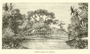 Ponte de bambu em Bornéu de English School