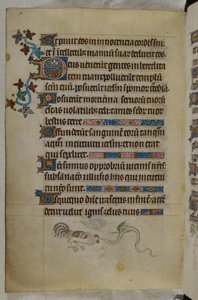 Cena de fundo de página de um galo e de uma serpente alada em luta, com uma inicial "D"(eus) decorada, Saltério ("The Queen Mary Psalter"), Royal MS 2 B VII, f.187v, c.1310-20 (velino) de English School
