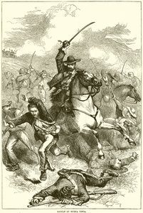 Batalha de Buena Vista