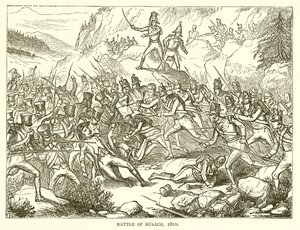 Batalha de Busaco, 1810