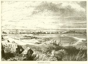 Campo de batalha de canas