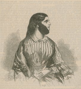 Senhora barbada de English School