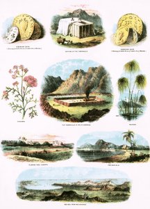 Ilustrações bíblicas de English School