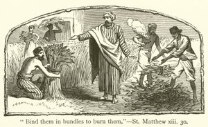 "Ata-os em molhos para os queimar", São Mateus, xiii, 30 (gravura) de English School