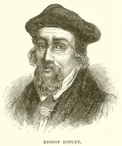 Dom Ridley