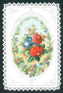 Flores do anúncio das amoras-pretas, cartão de English School
