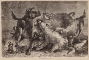 Caça ao javali, o ataque (gravura) de English School