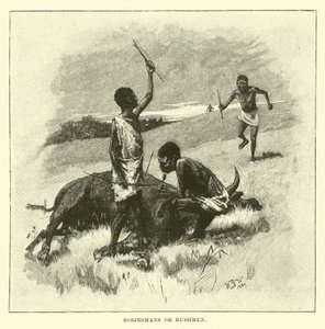 Bosjesmans ou bosquímanos de English School