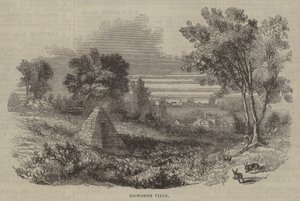 Bosworth Field de English School