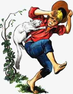 Garoto atacado por gato de English School