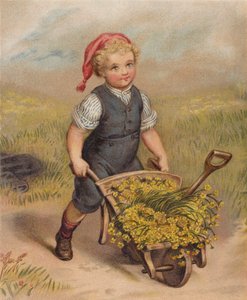 Rapaz a empurrar um carrinho de mão cheio de flores (cromolitho) de English School