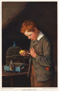 Menino com seu canário de estimação morto (lito colorido) de English School