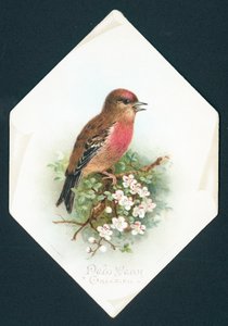 Brambling, cartão de ano novo de English School