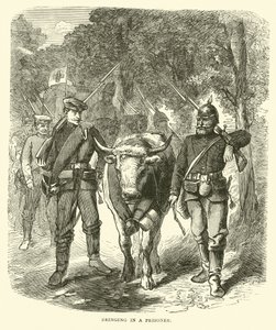 Trazendo um prisioneiro, setembro de 1870 de English School
