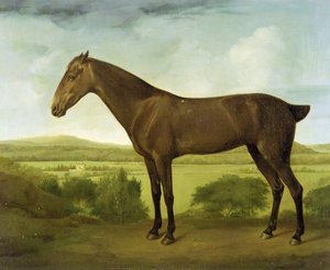 Cavalo castanho em uma paisagem montanhosa, c.1780-1800