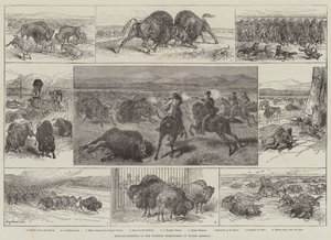 Caça ao Búfalo nos Territórios Ocidentais da América do Norte (gravura) de English School