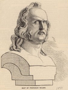 Busto do Professor Wilson de English School