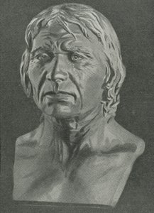 Busto de um homem de Cro-Magnon de English School