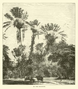 À beira da estrada de English School