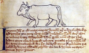 Lit-CCA - D - 10 fol. 9r Bullock, de Bestiary de English School