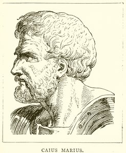 Caius Marius de English School