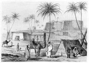 Ninhada de camelo em Morzouk no Fezzan, Líbia, da narrativa de viagens no norte da África por GF Lyon, publicado em 1821 de English School