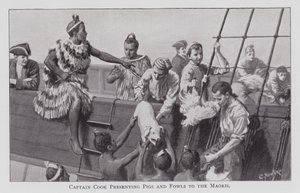 Capitão Cozinheiro Apresentador de Porcos e Galinhas aos Maoris (litho) de English School