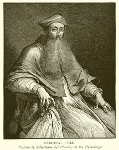 Pólo Cardinal de English School