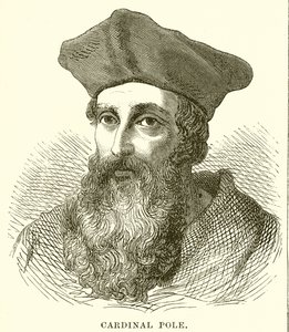 Pólo Cardinal de English School