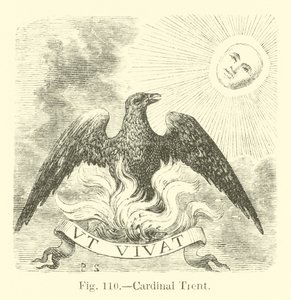 Cardeal Trent de English School