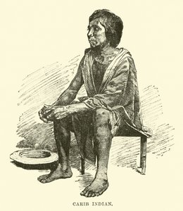 Carib índio de English School