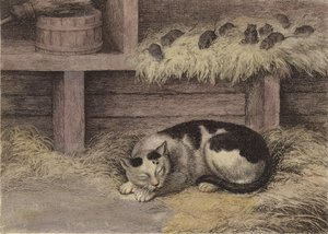 Gato e ratos em um celeiro (gravura matizada)