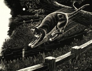 Gato pulando de galho de English School