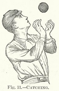 Apanhar (gravura) de English School