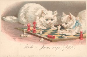 Gatos jogando xadrez de English School