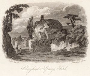 Chalybeate Primavera Ford de English School