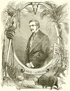Charles J Anderson de English School